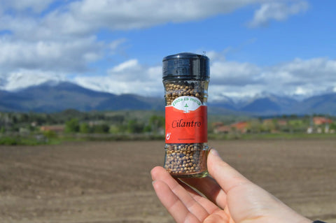 Los beneficios del Cilantro Ecológico
