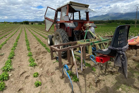 Cómo quitar las "Malas Hierbas" en la Agricultura Ecológica