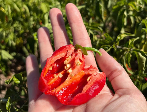 El Pimiento más Picante de Finca la Mesa