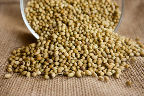 Conociendo el cilantro y sus curiosidades