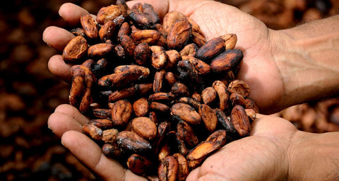 Beneficios del Cacao Puro Desgrasado