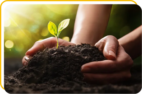 Explorando la Agricultura Ecológica