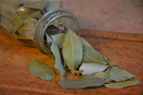 Curiosidades del Laurel Ecológico