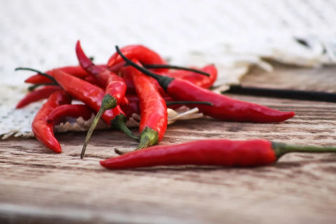 La Cosecha del Pimiento Ecológico de La Vera