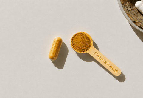 Cúrcuma capsulas vs polvo