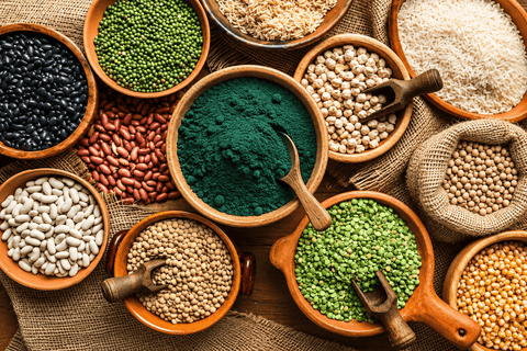 Proteínas vegetales