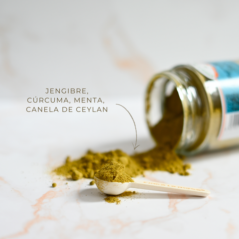 Ginger-Menta Shot ECO