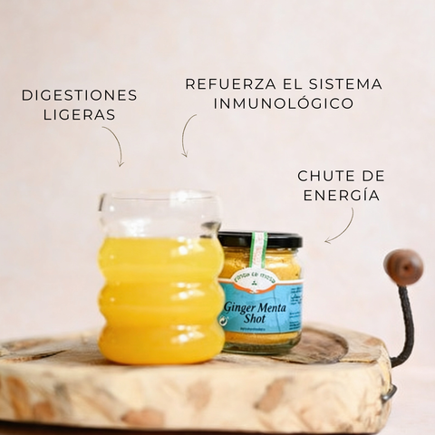 Ginger-Menta Shot ECO