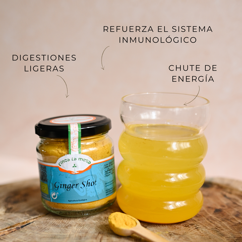 Ginger Shot ECO